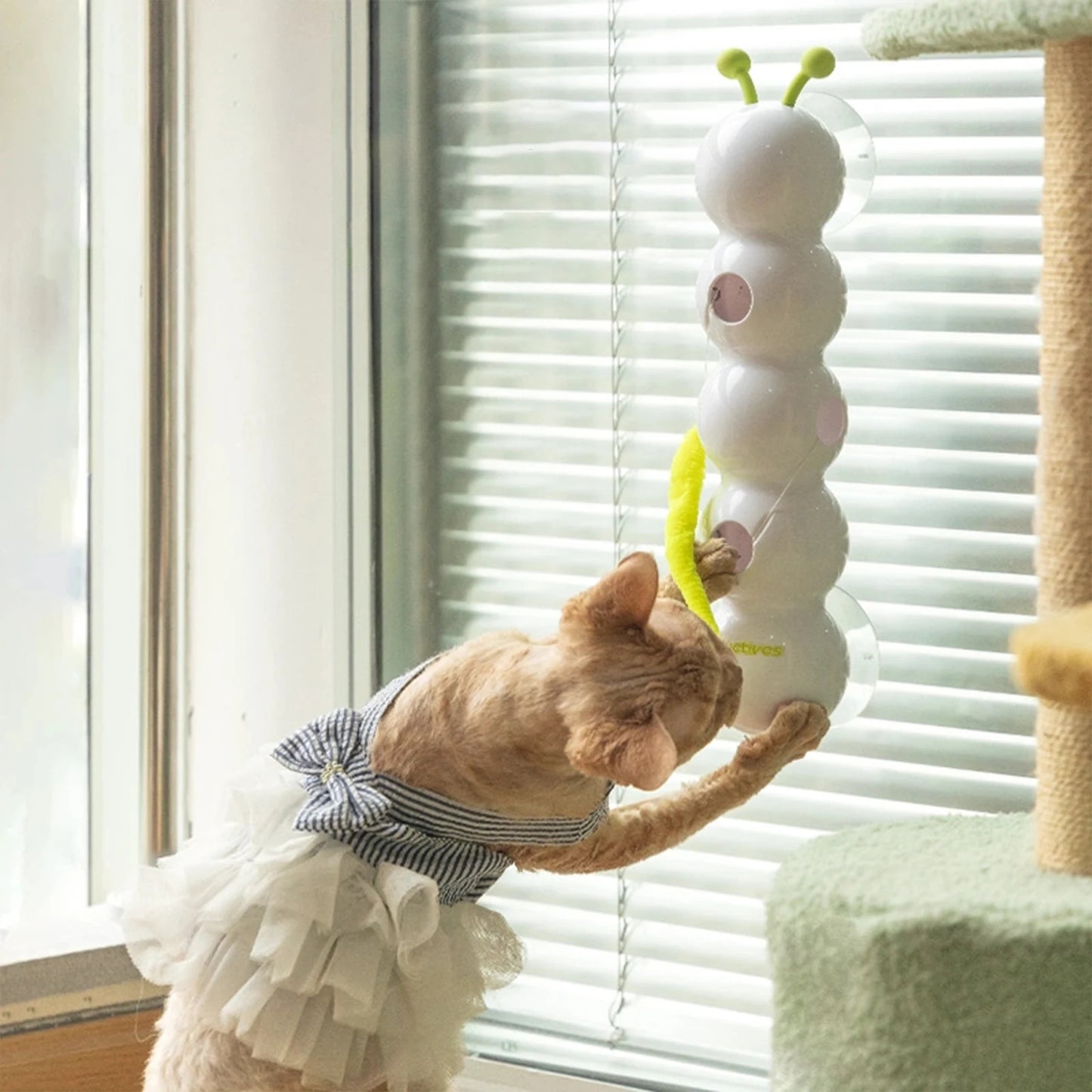 WhiskerWand Smart Teasing Cat Toy